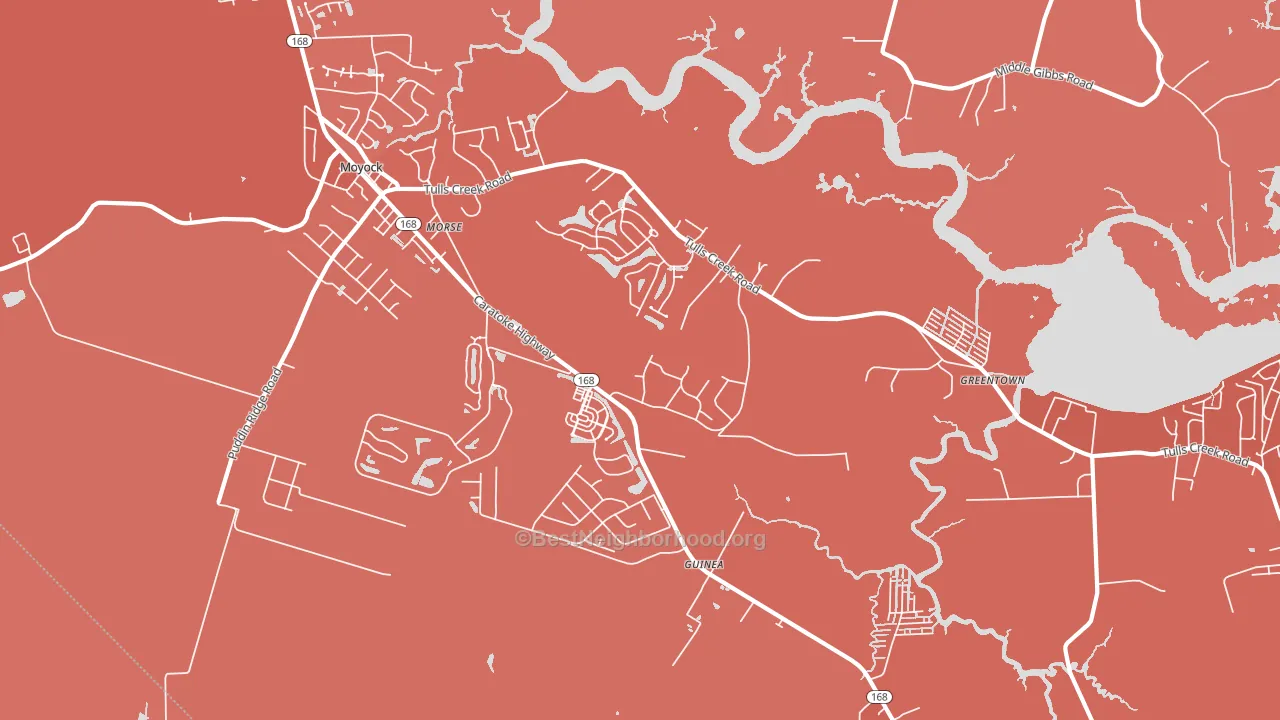Snowden, NC block-group political-lean map