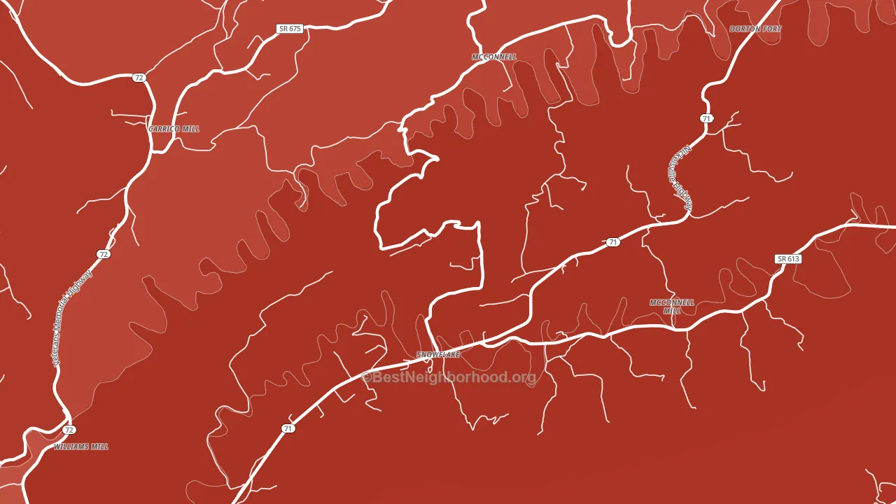 Snowflake, VA block-group political-lean map