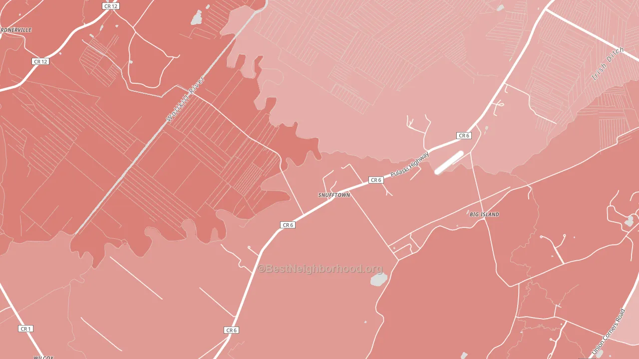 Snufftown, NY block-group political-lean map