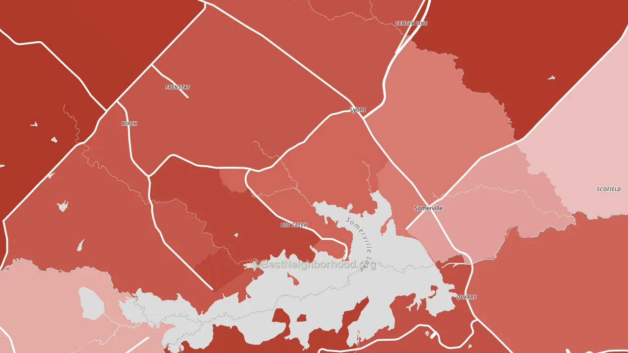 Somerville, TX block-group political-lean map
