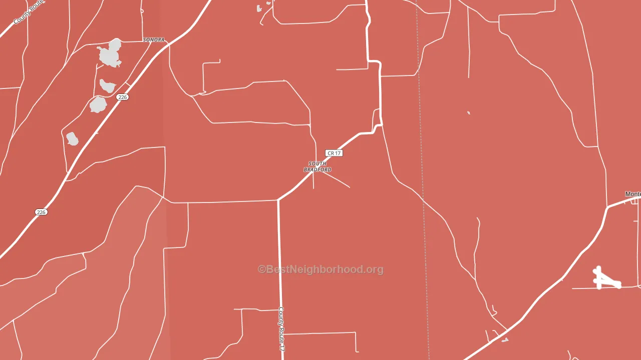 South Bradford, NY block-group political-lean map