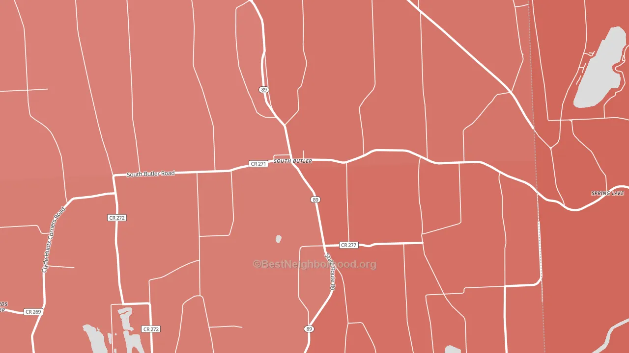 South Butler, NY block-group political-lean map