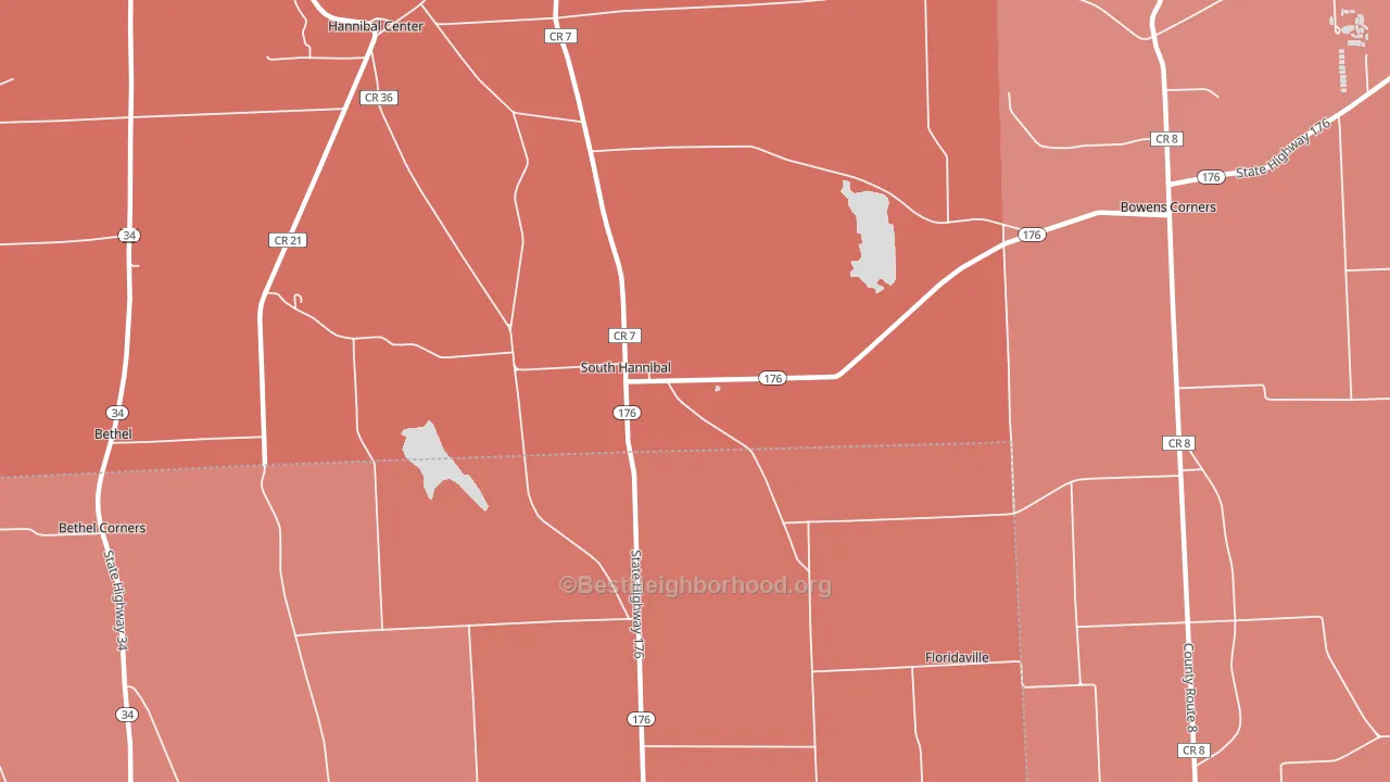 South Hannibal, NY block-group political-lean map