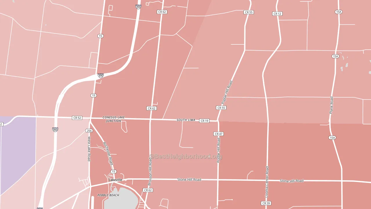 South Lima, NY block-group political-lean map