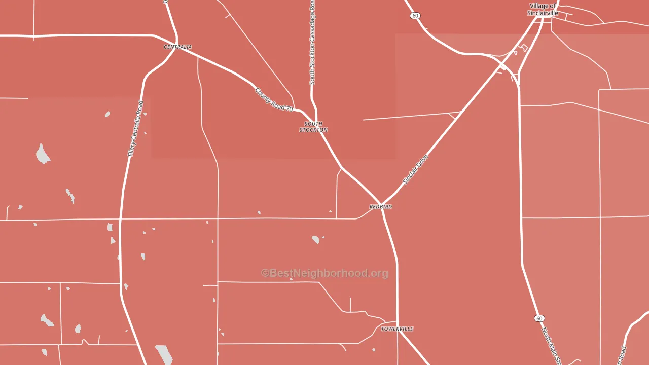 South Stockton, NY block-group political-lean map