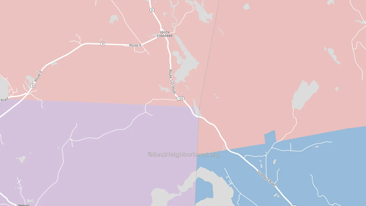 South Stoddard, NH block-group political-lean map
