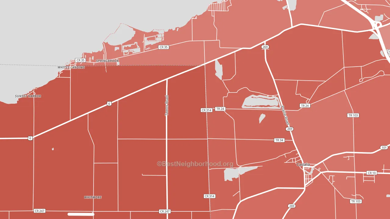 Springbrook, OH block-group political-lean map