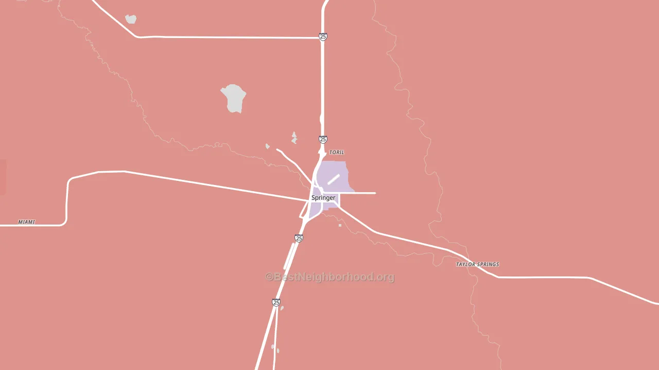 Springer, NM block-group political-lean map