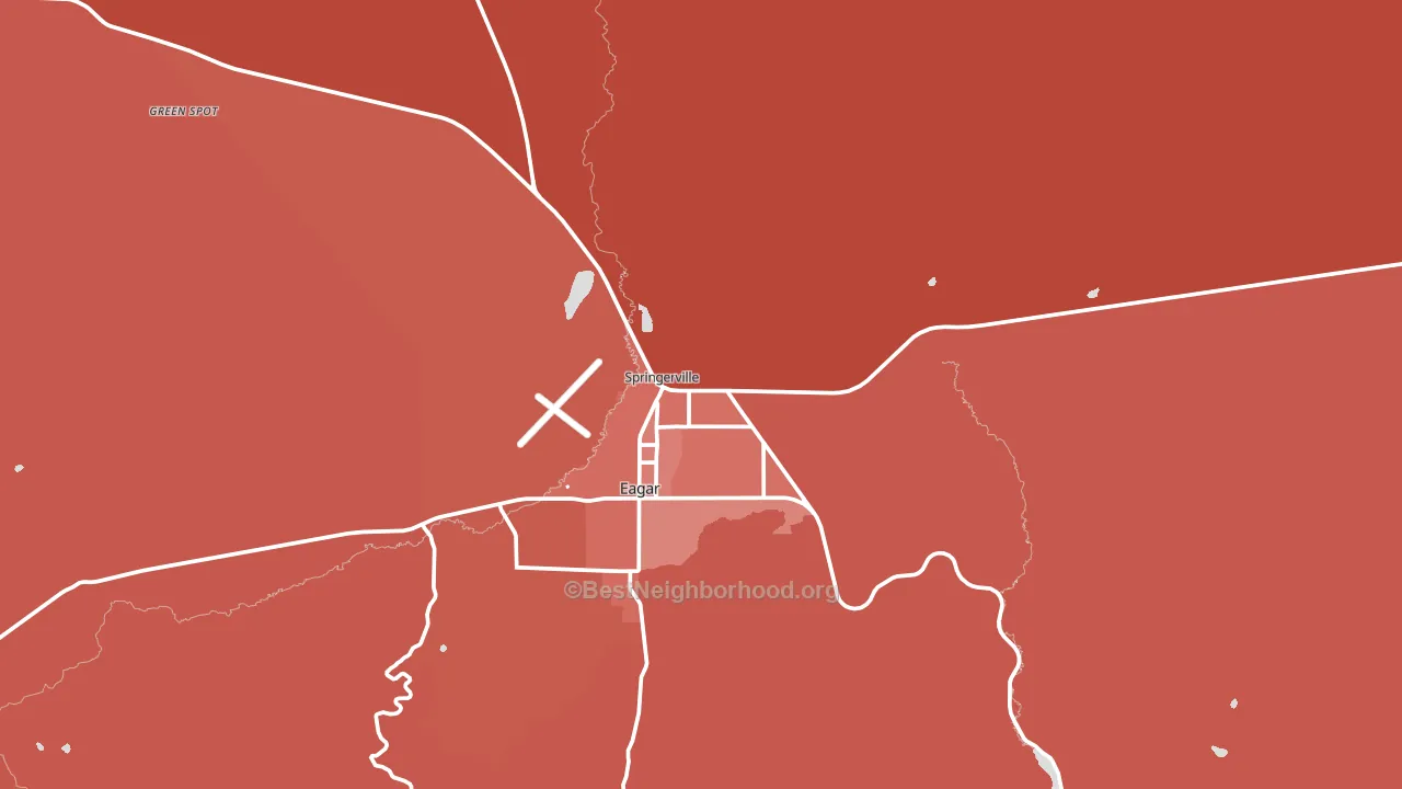 Springerville, AZ block-group political-lean map