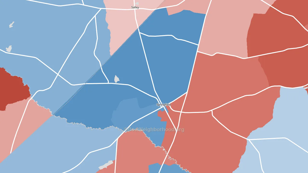 Springfield, SC block-group political-lean map