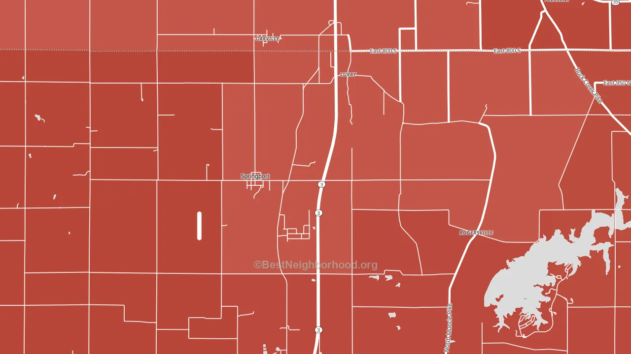 Springport, IN block-group political-lean map