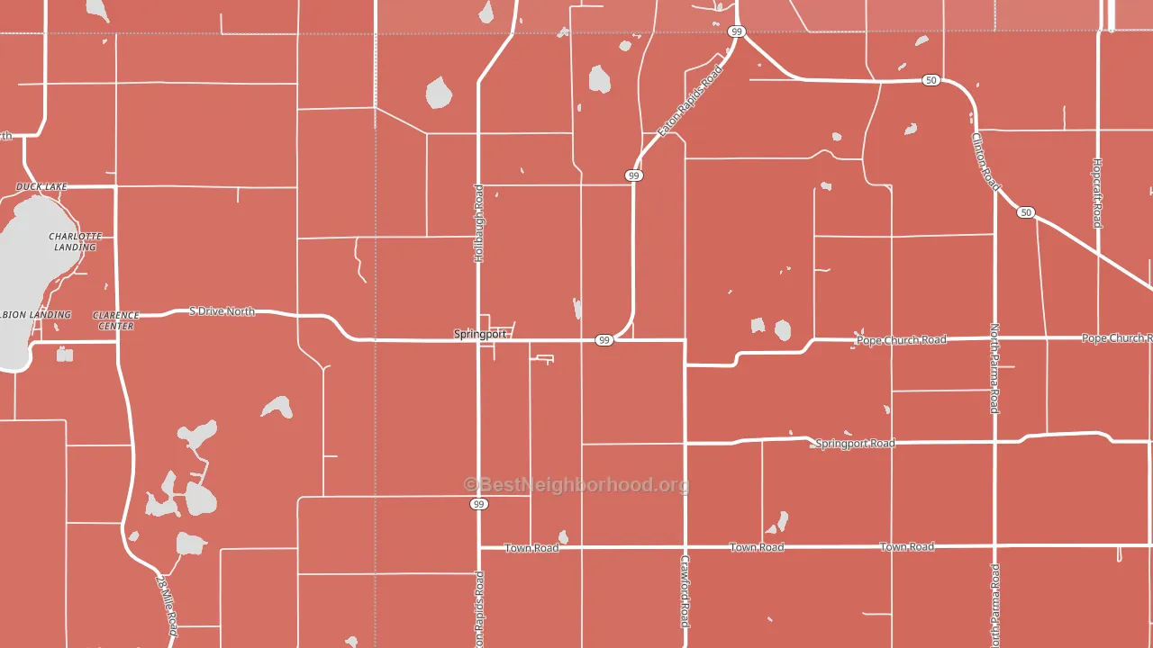 Springport, MI block-group political-lean map
