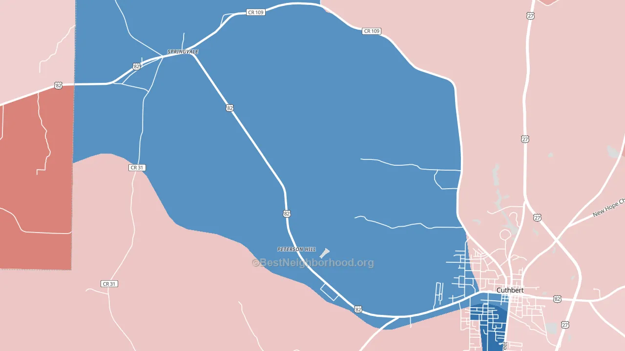 Springvale, GA block-group political-lean map