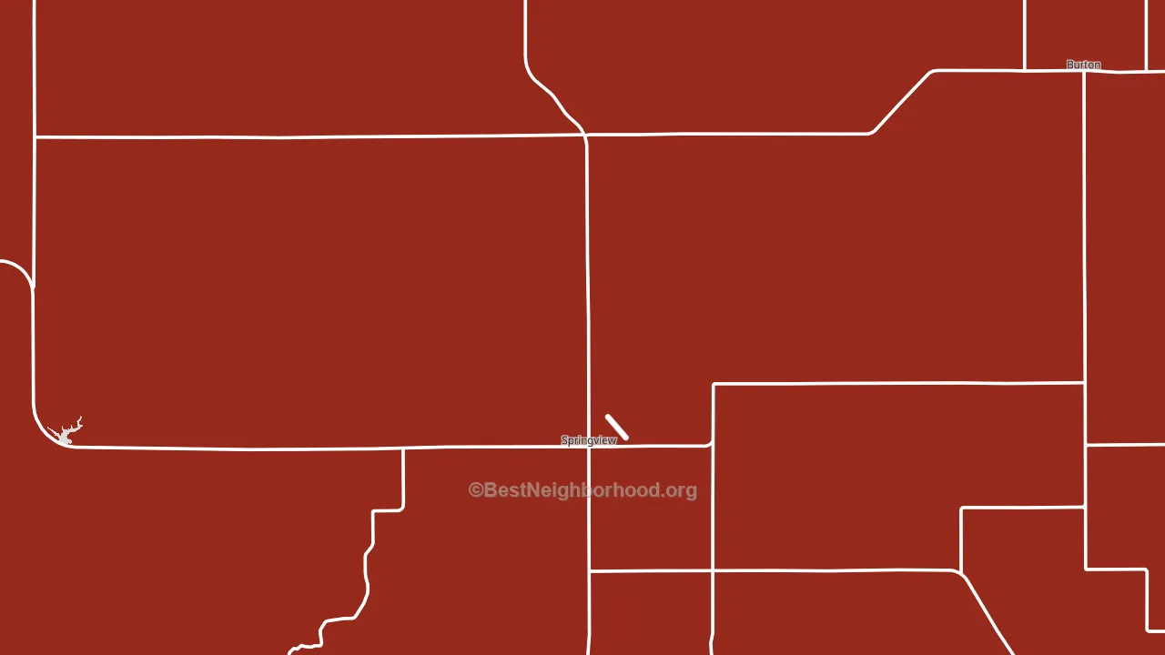Springview, NE block-group political-lean map