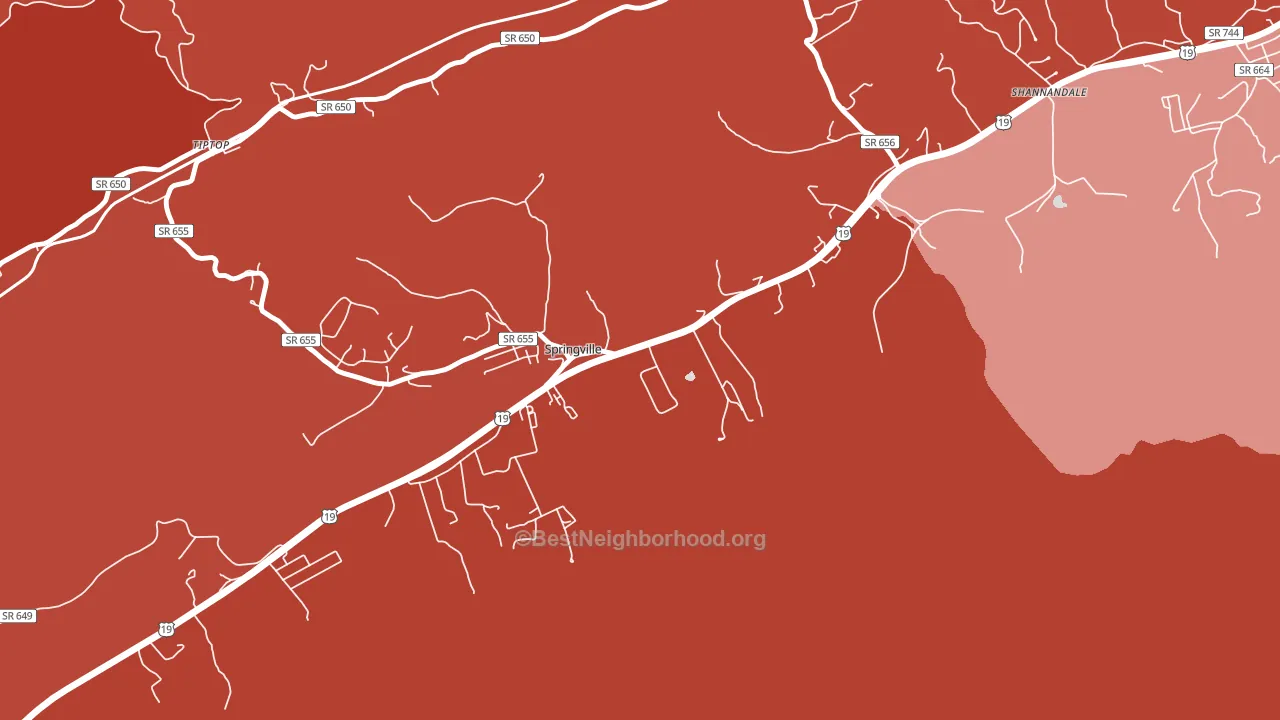 Springville, VA block-group political-lean map