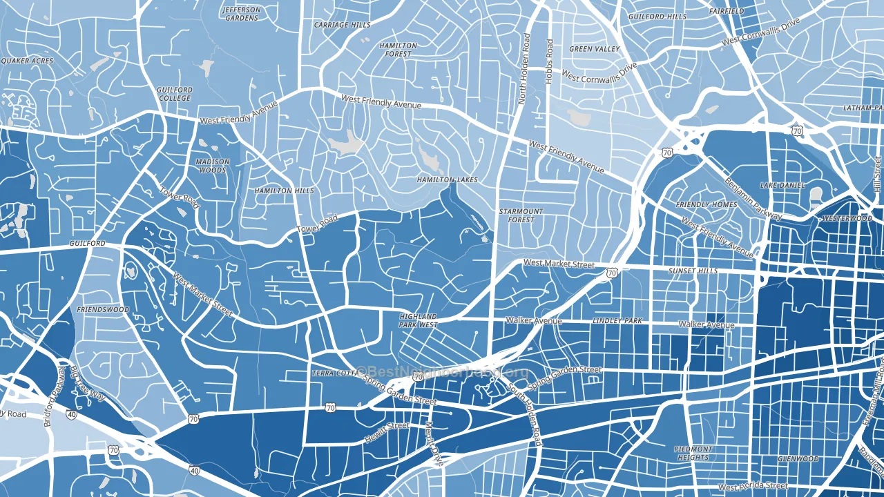Starmount Forest, Greensboro, NC block-group political-lean map