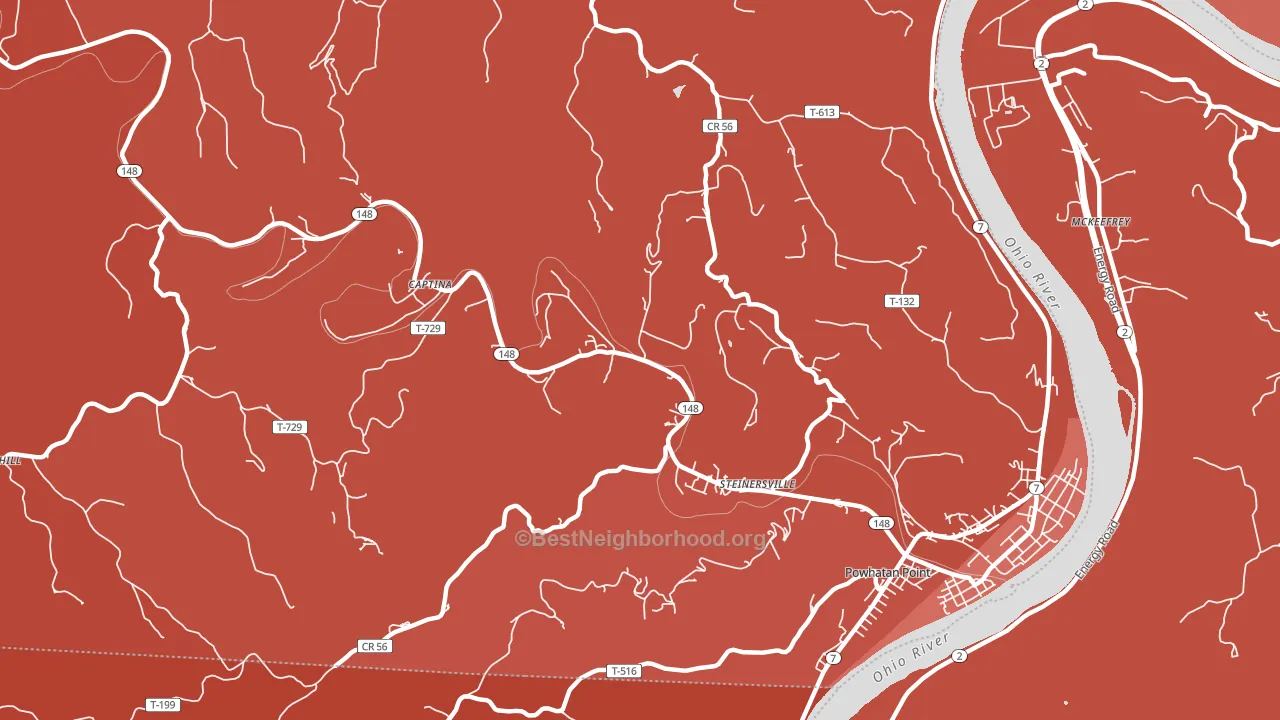 Steinersville, OH block-group political-lean map