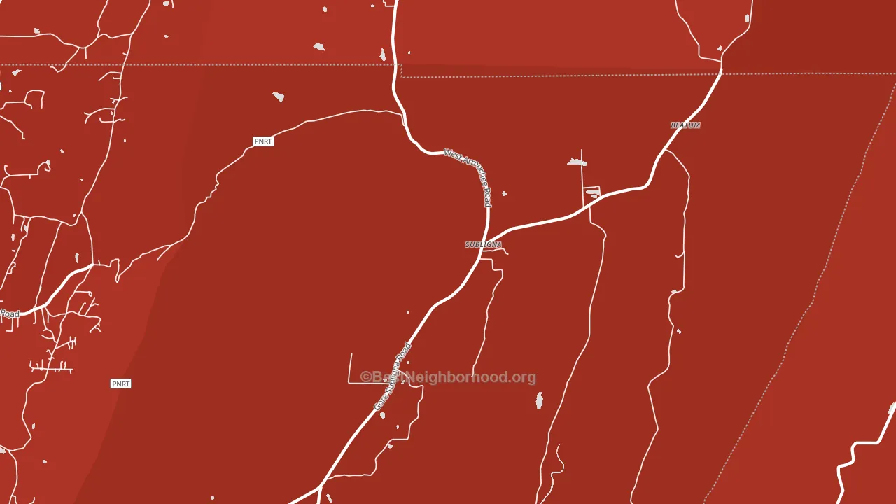 Subligna, GA block-group political-lean map