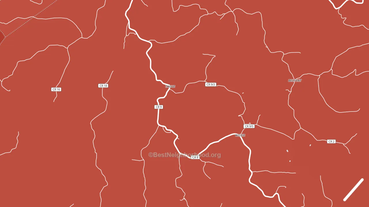 Tague, WV block-group political-lean map