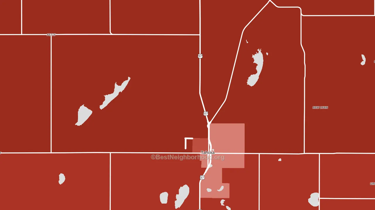 Tahoka, TX block-group political-lean map