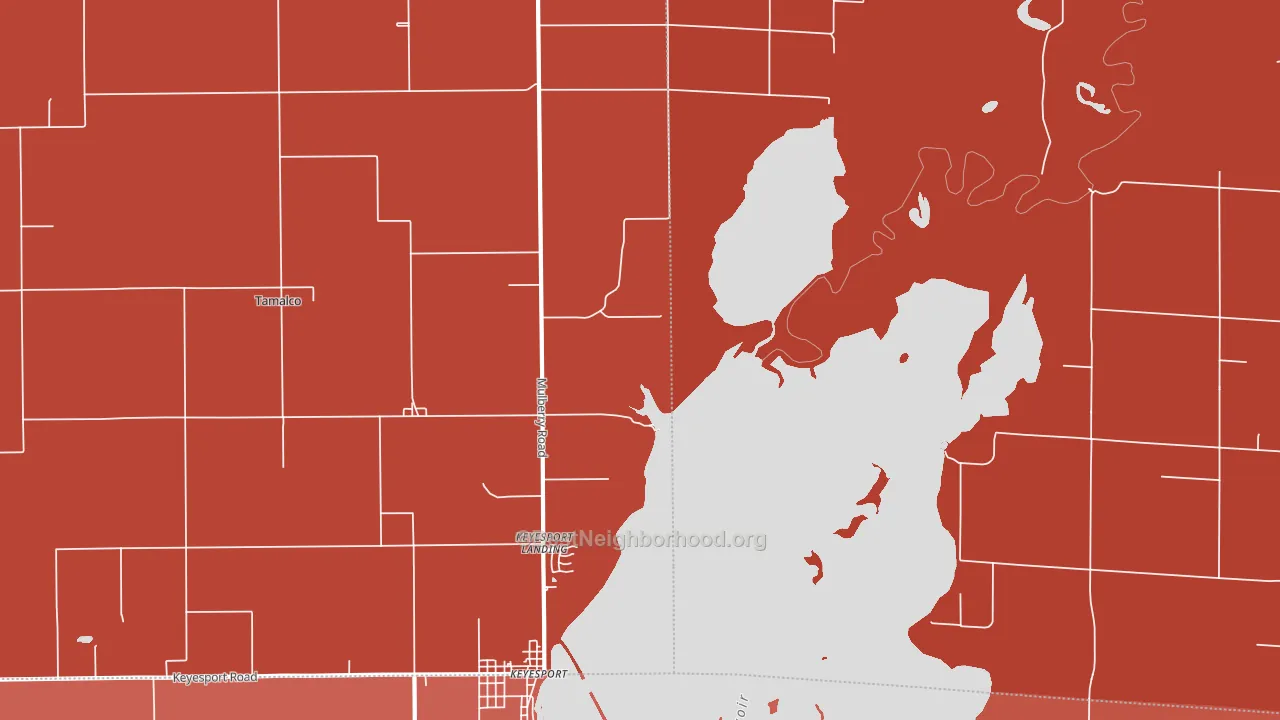 Tamalco, IL block-group political-lean map