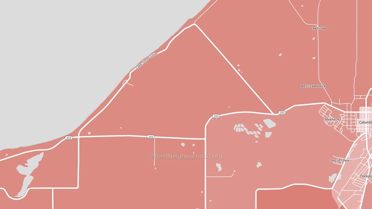 Tamarack, MI block-group political-lean map