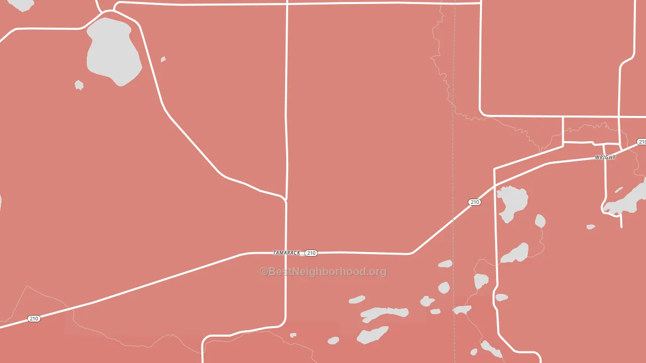 Tamarack, MN block-group political-lean map