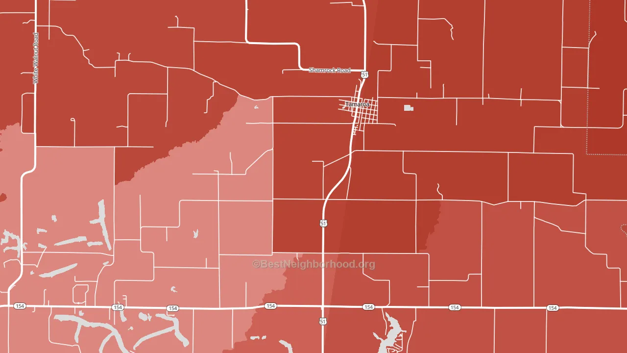 Tamaroa, IL block-group political-lean map