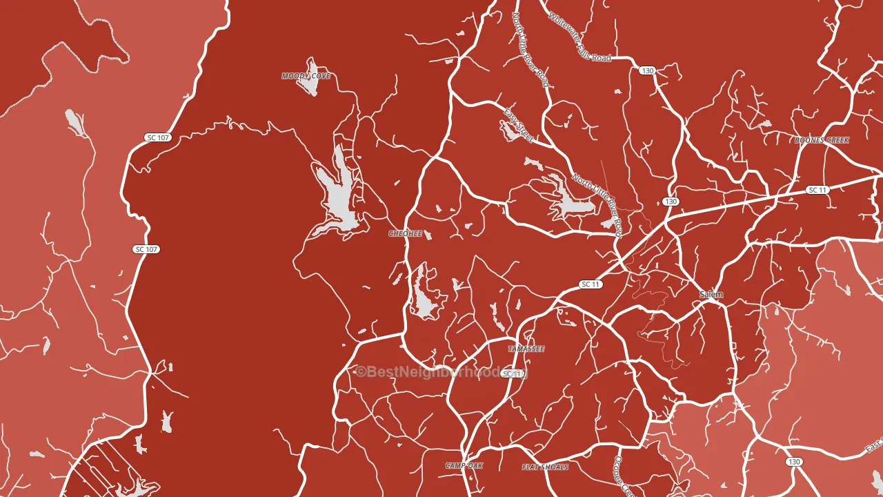 Tamassee, SC block-group political-lean map
