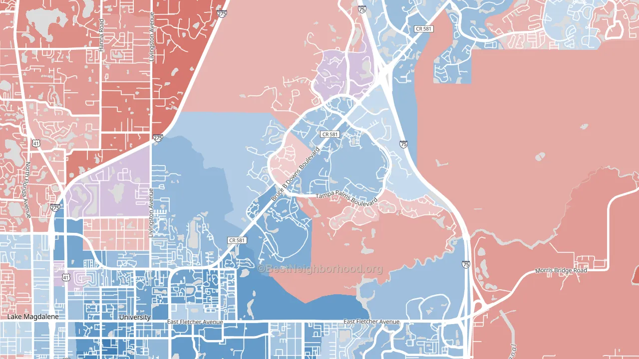 Tampa Palms, Tampa, FL block-group political-lean map