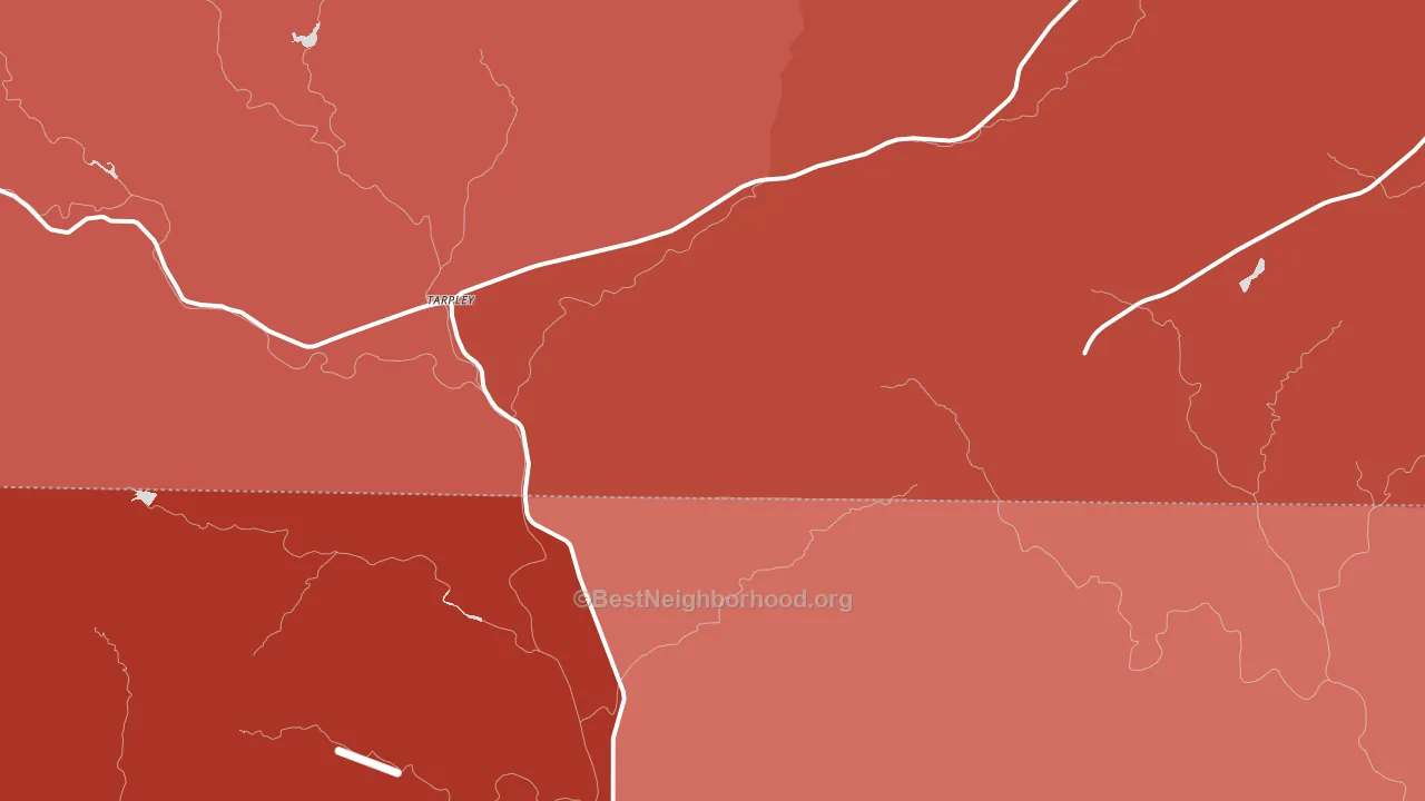Tarpley, TX block-group political-lean map
