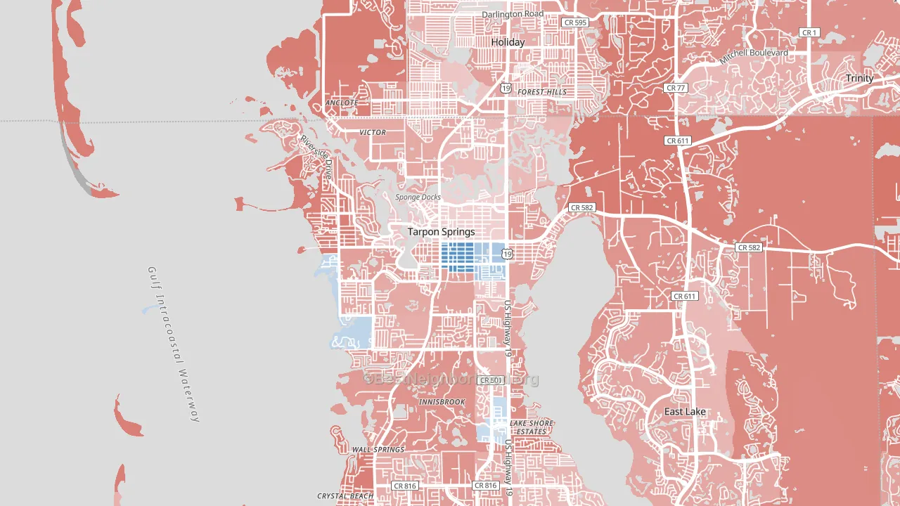 Tarpon Springs, FL block-group political-lean map