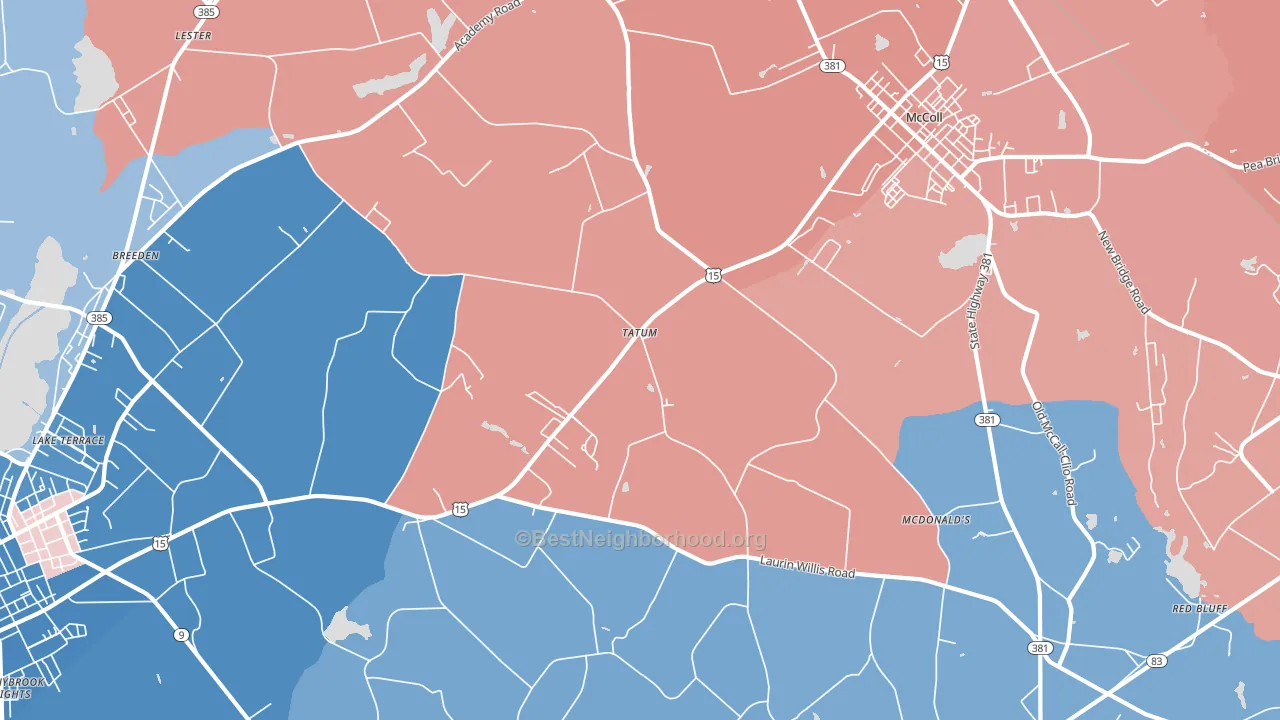 Tatum, SC block-group political-lean map