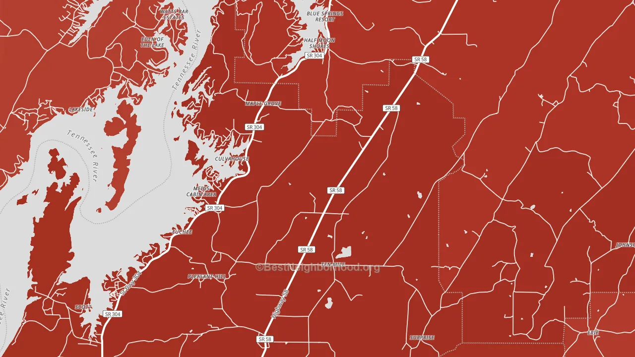 Ten Mile, TN block-group political-lean map