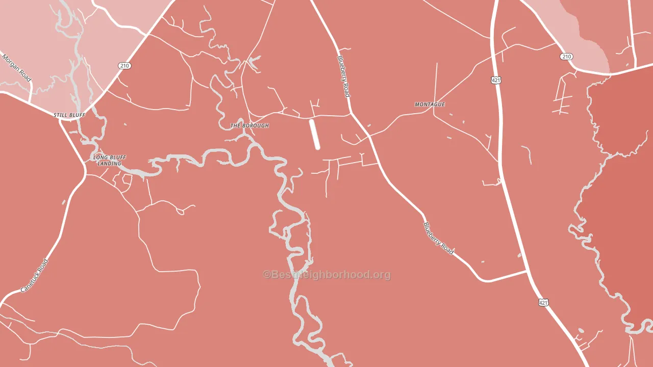 The Borough, NC block-group political-lean map
