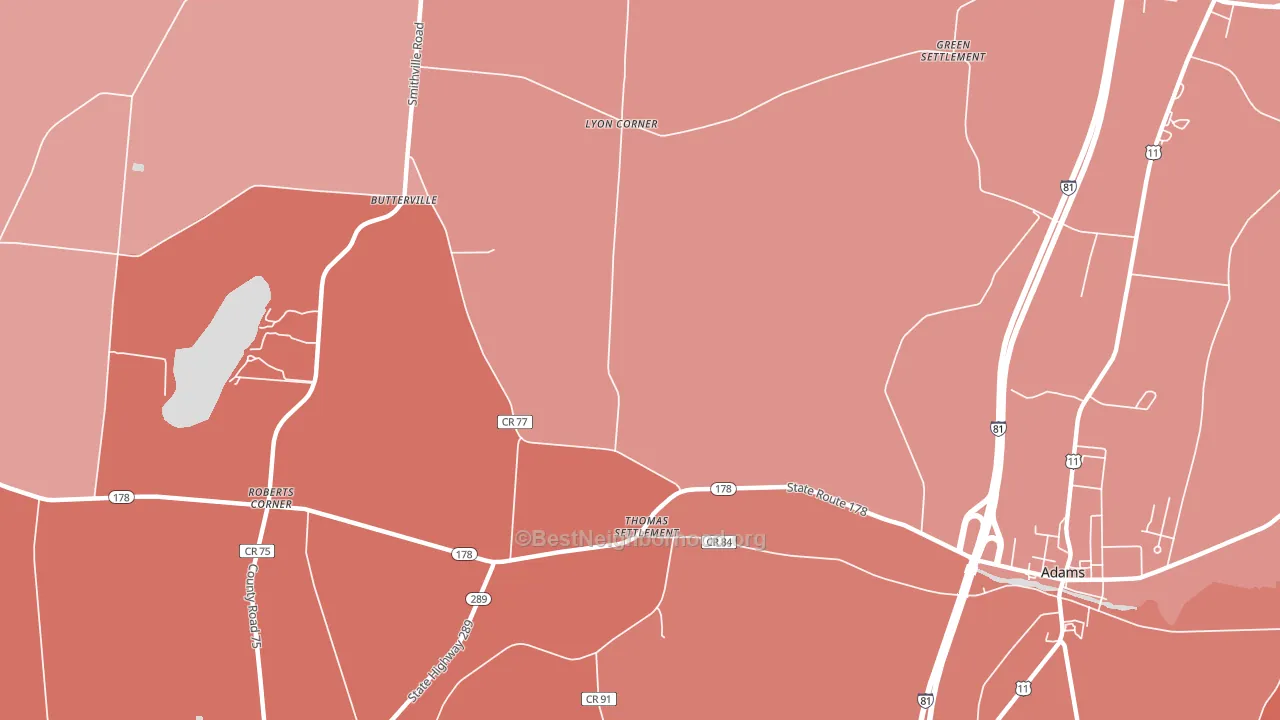 Thomas Settlement, NY block-group political-lean map