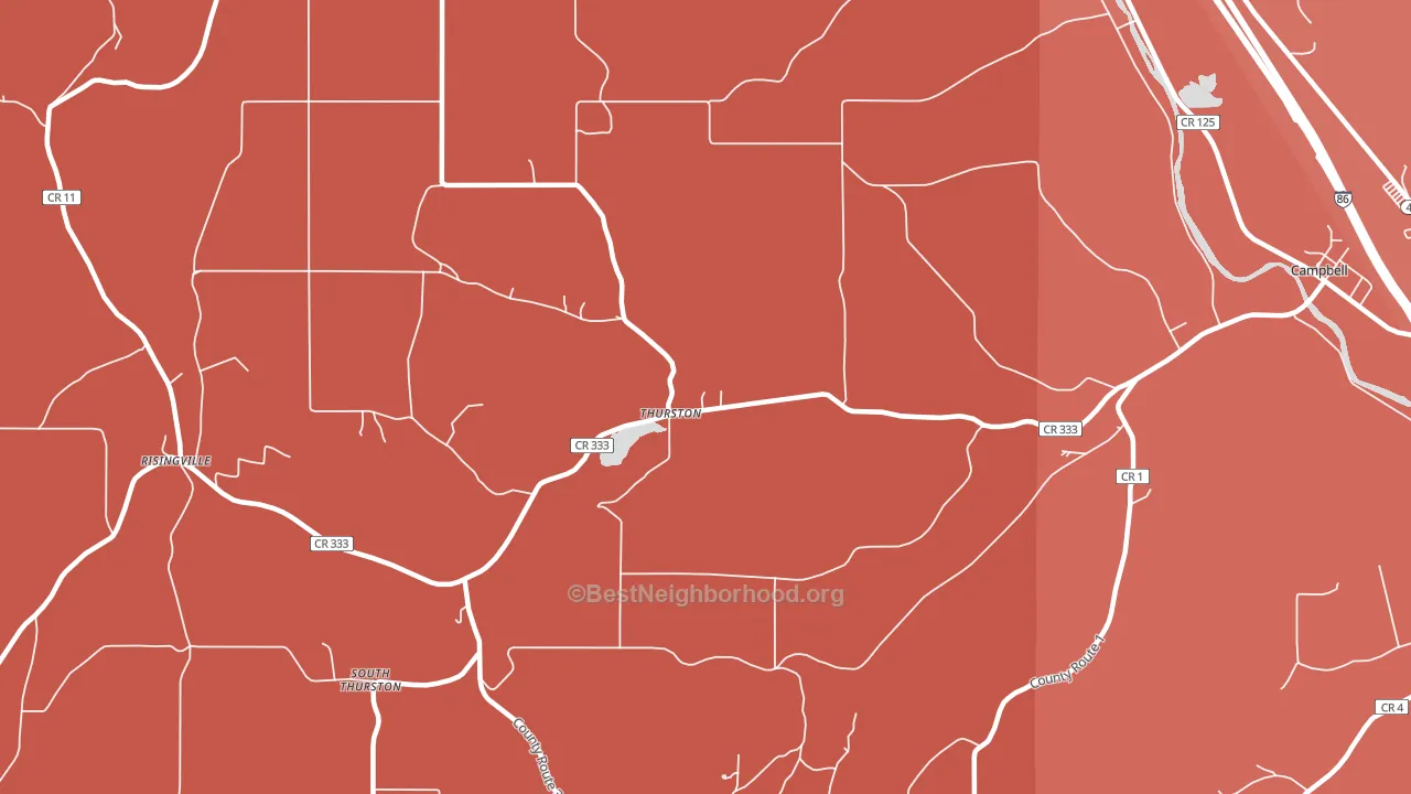 Thurston, NY block-group political-lean map