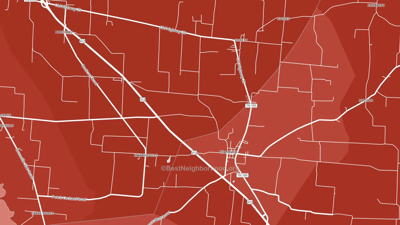 Tigrett, TN block-group political-lean map