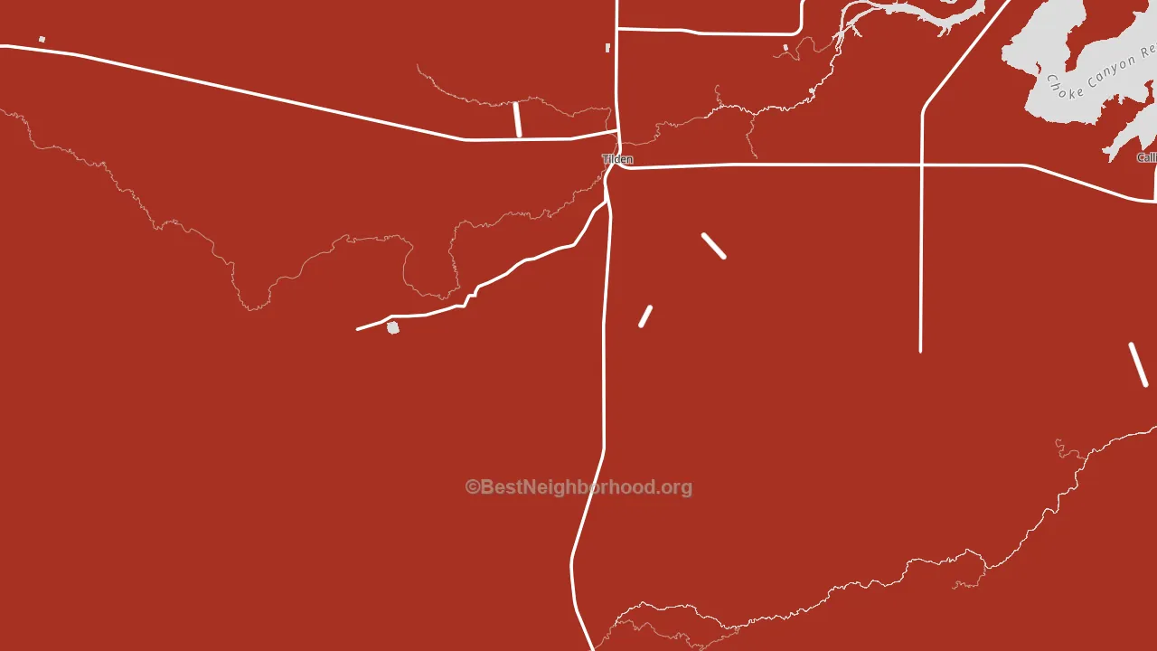 Tilden, TX block-group political-lean map