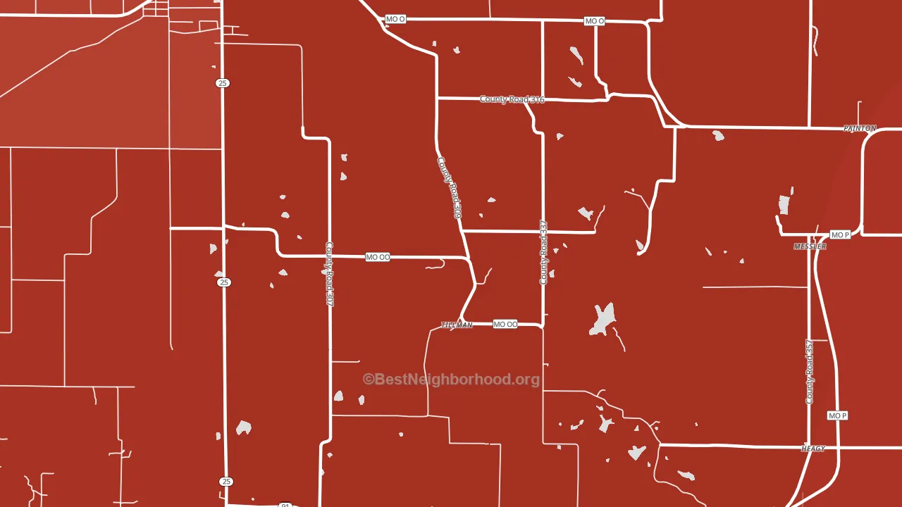 Tillman, MO block-group political-lean map
