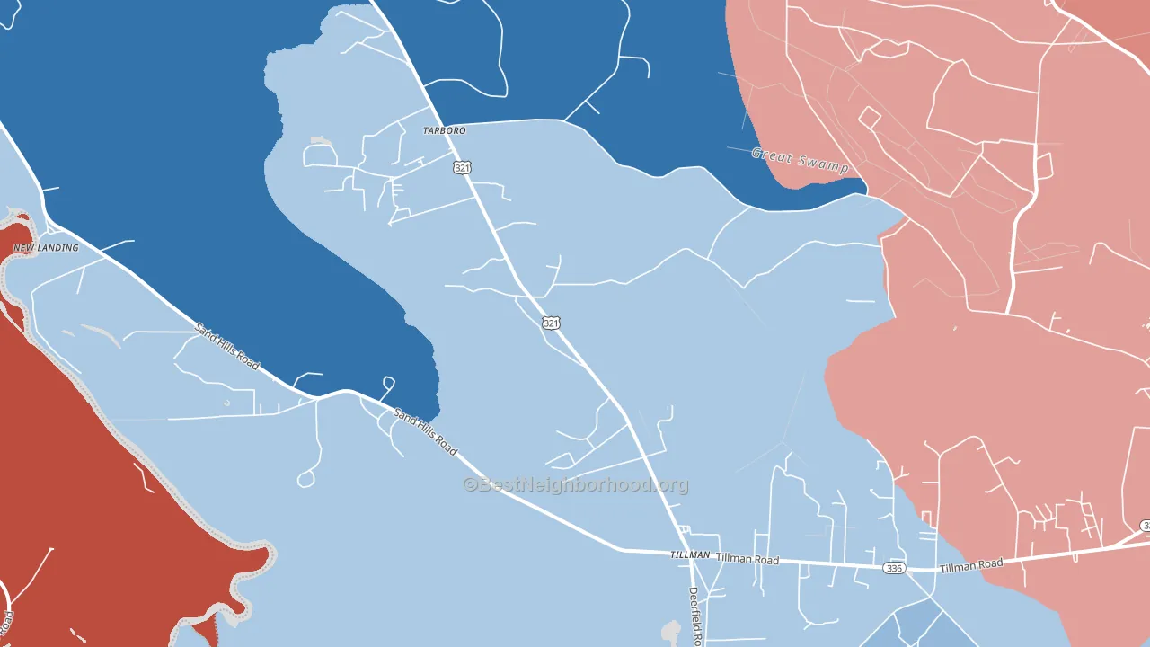 Tillman, SC block-group political-lean map