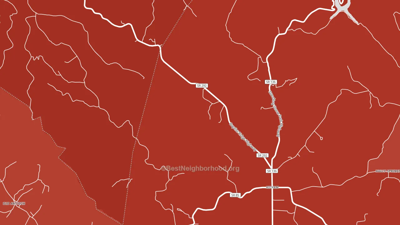 Timothy, TN block-group political-lean map
