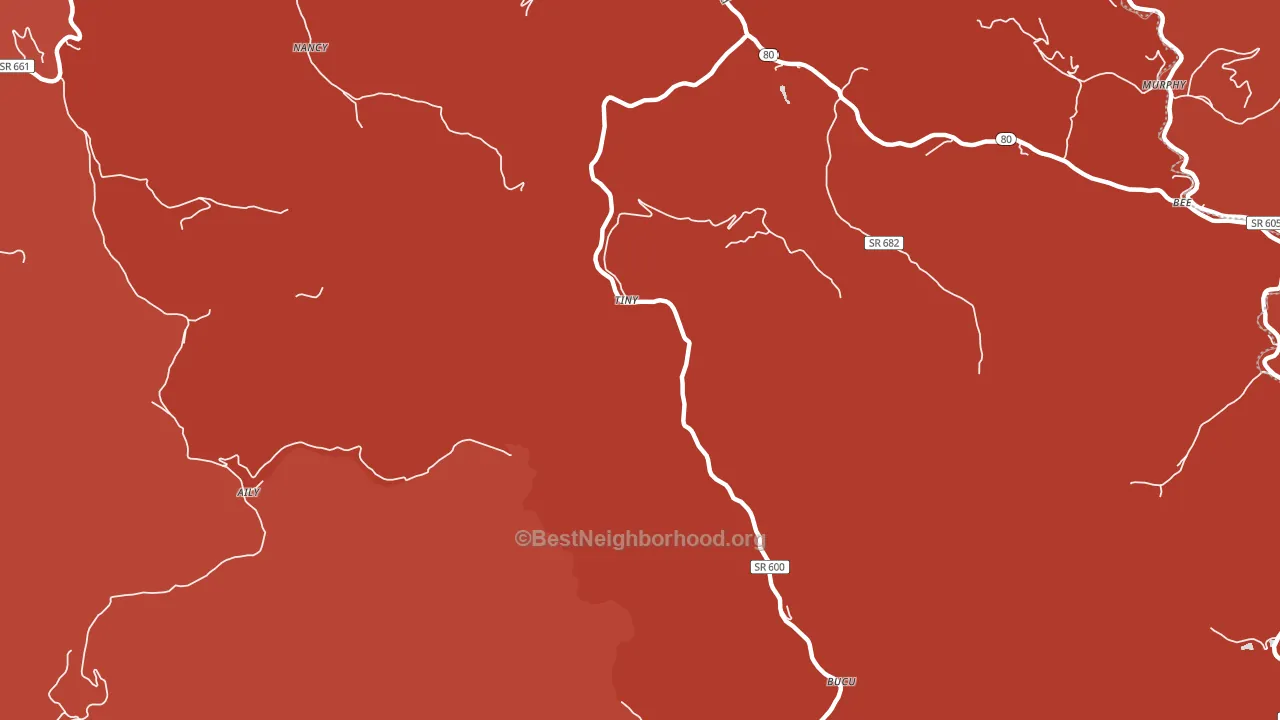 Tiny, VA block-group political-lean map
