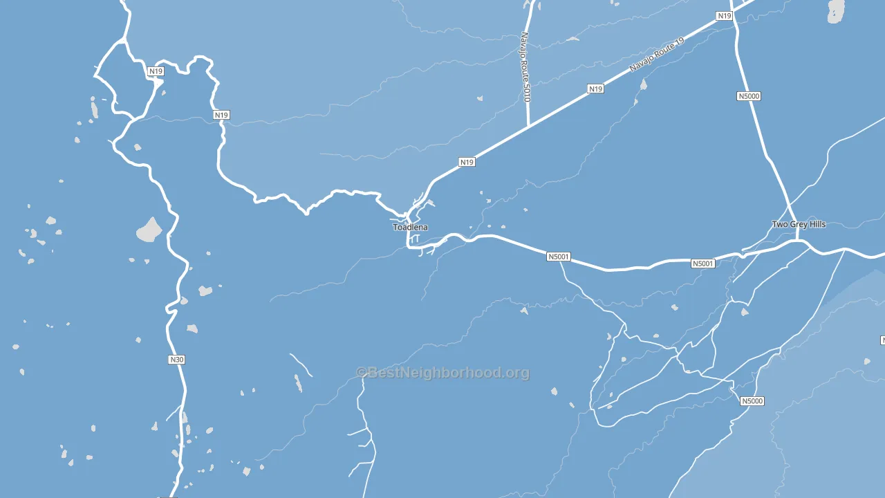 Toadlena, NM block-group political-lean map