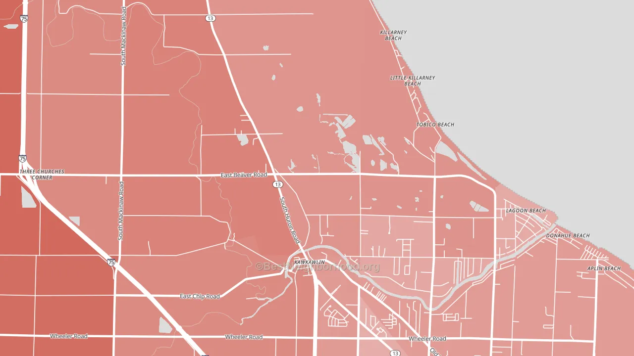 Tobico Beach, MI block-group political-lean map