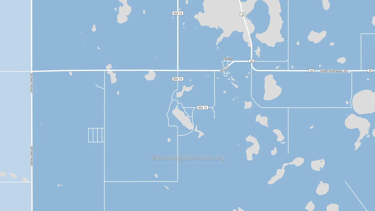 Tokio, ND block-group political-lean map