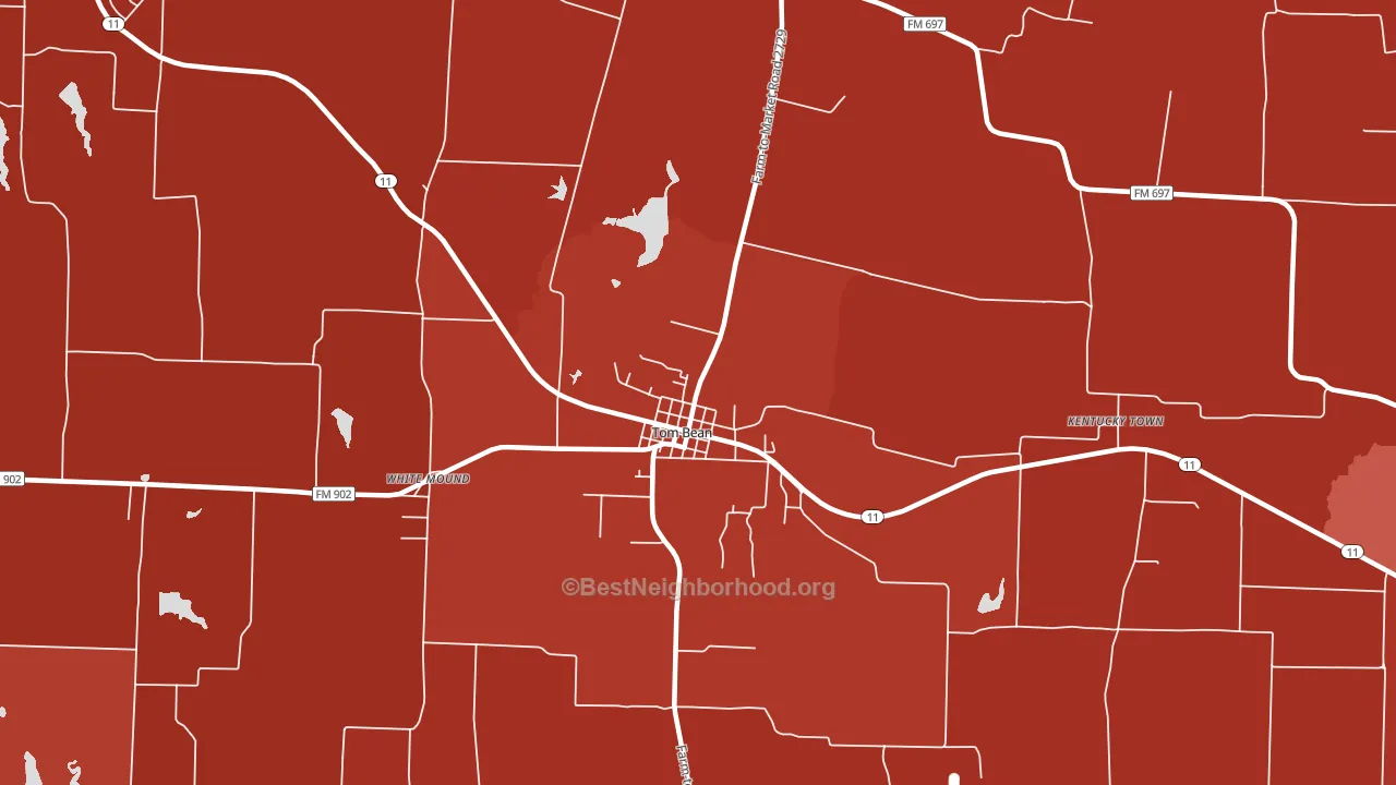 Tom Bean, TX block-group political-lean map