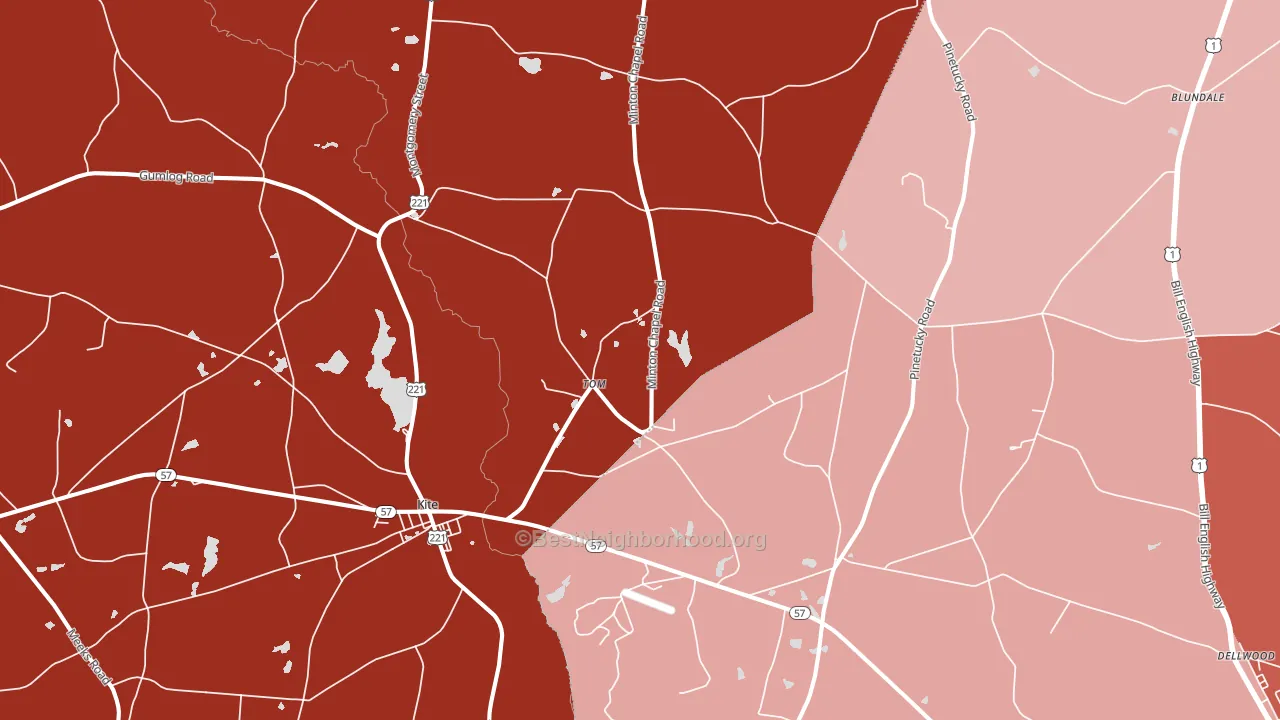Tom, GA block-group political-lean map