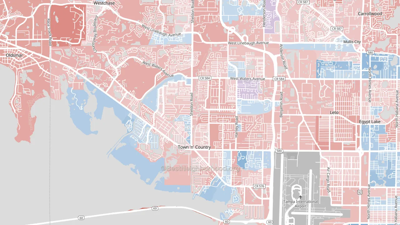 Town 'n' Country, FL block-group political-lean map