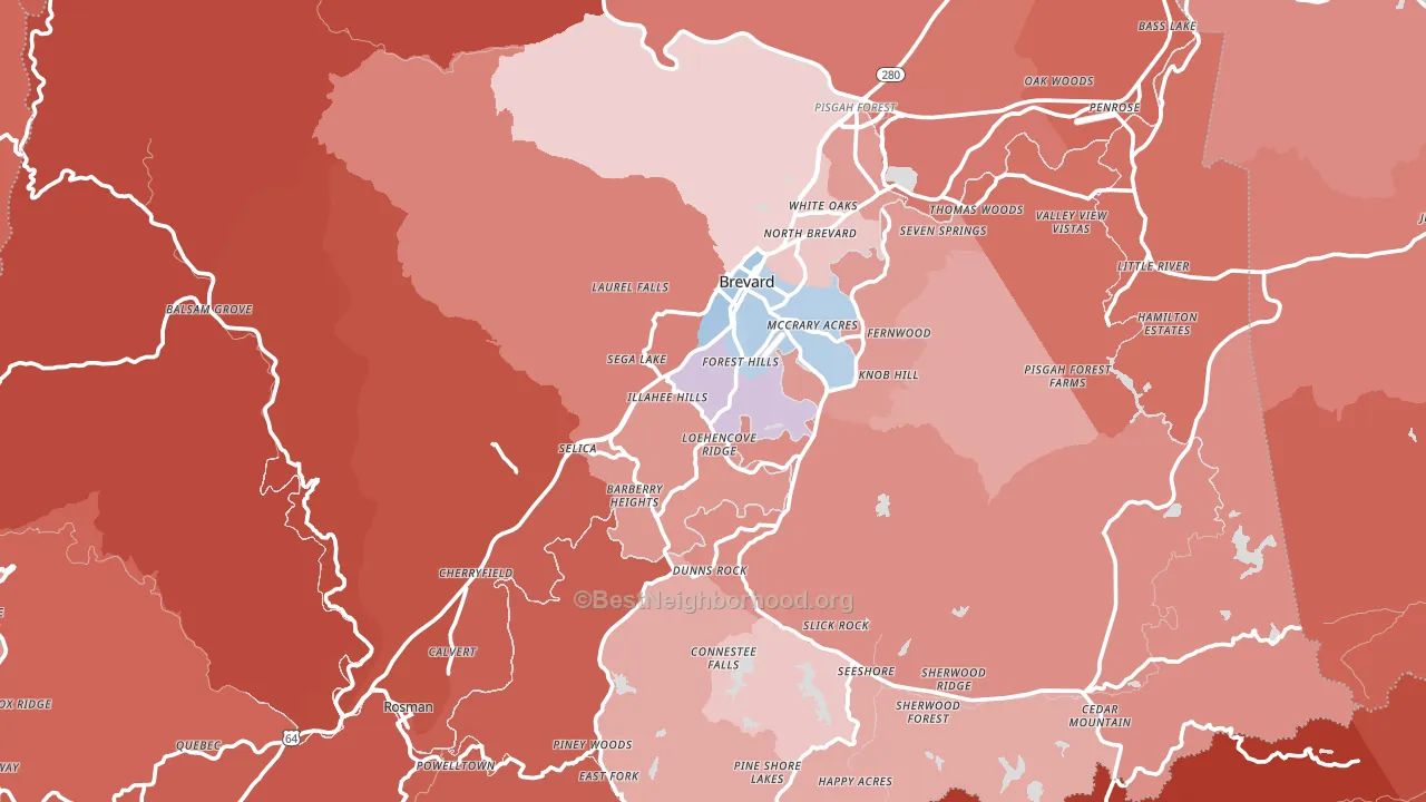 Transylvania County, NC block-group political-lean map